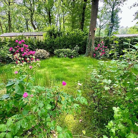 Vakantie Veluwe Wageningen Exteriör bild