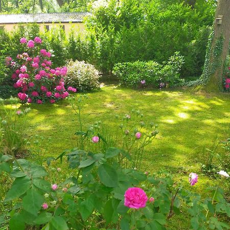 Vakantie Veluwe Wageningen Exteriör bild
