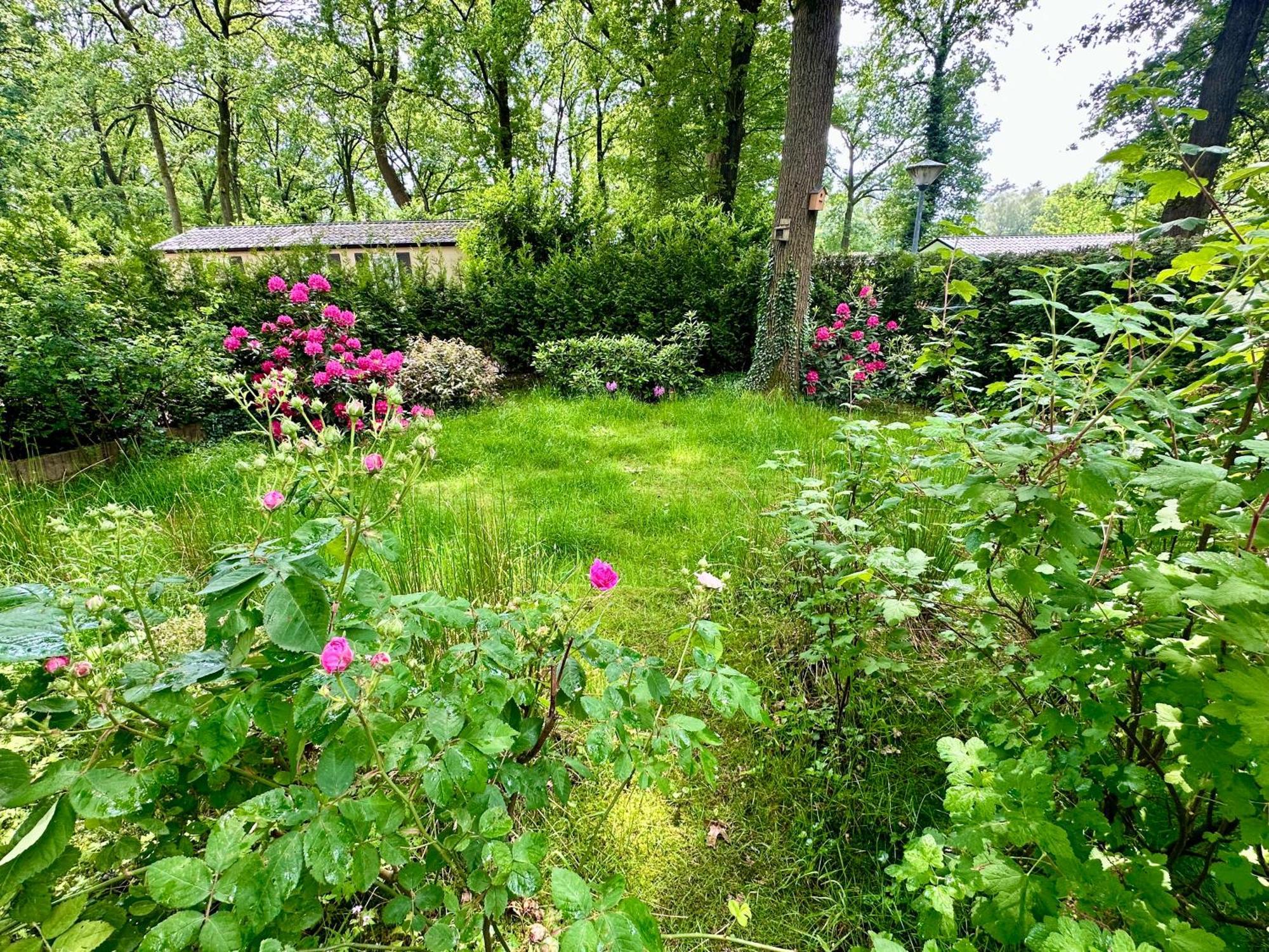 Vakantie Veluwe Wageningen Exteriör bild