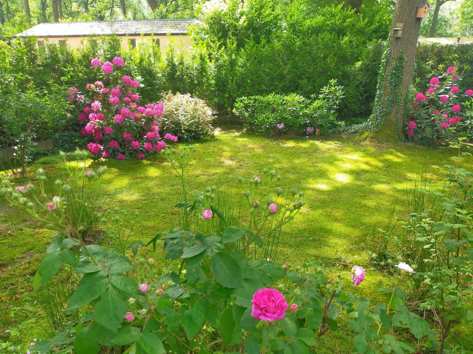 Vakantie Veluwe Wageningen Exteriör bild