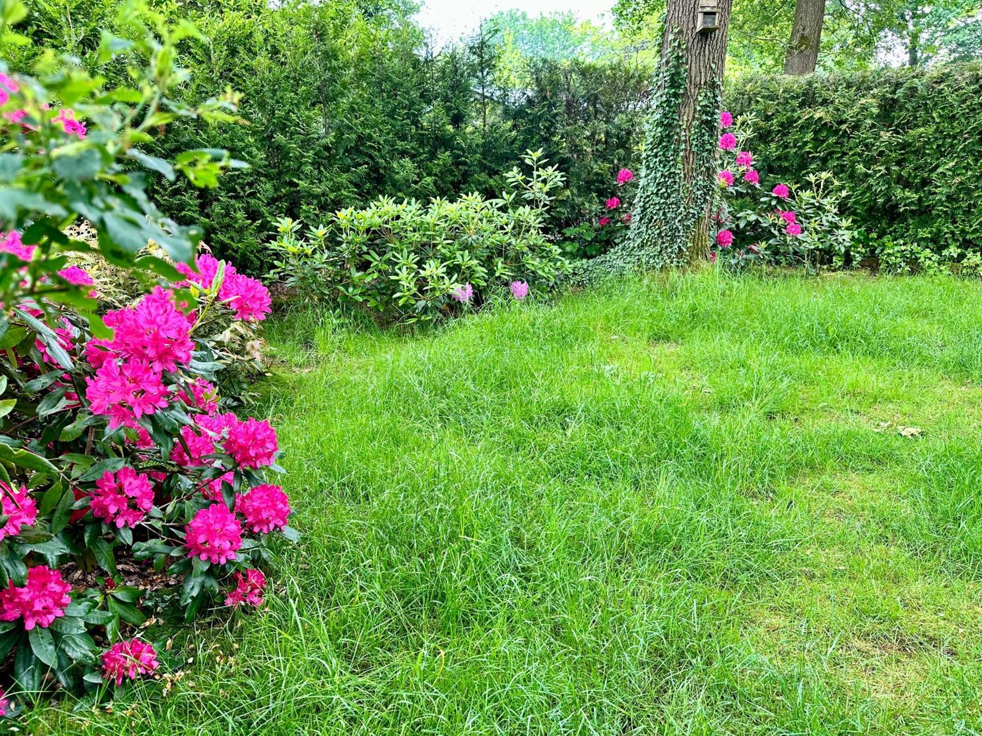 Vakantie Veluwe Wageningen Exteriör bild