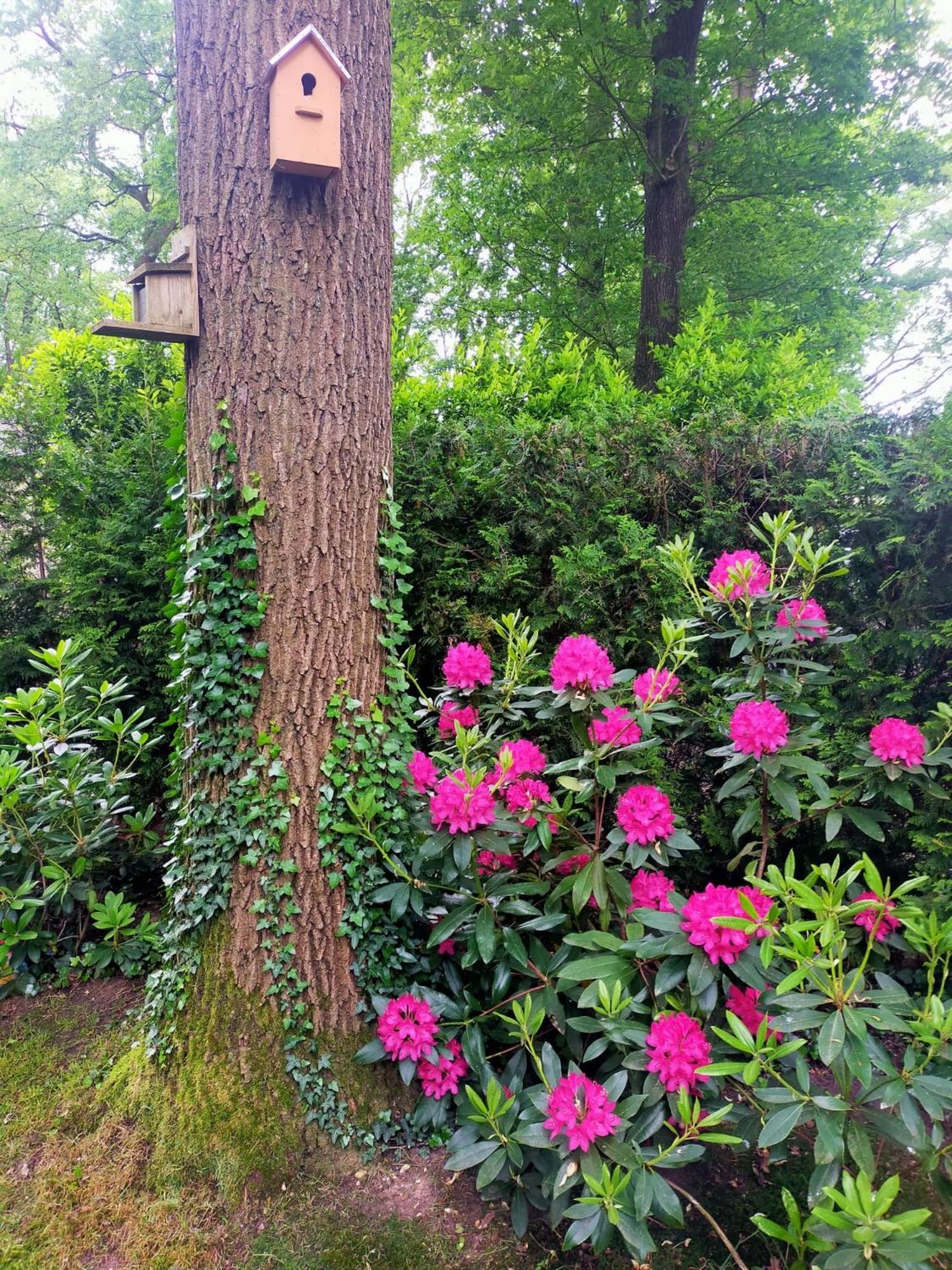 Vakantie Veluwe Wageningen Exteriör bild